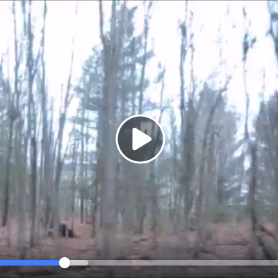 Nsur la route de l iode et des puits 2 