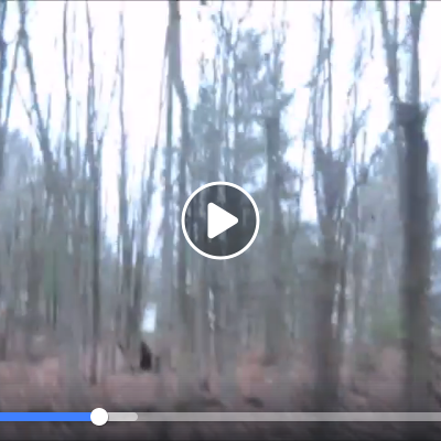 Nsur la route de l iode et des puits 3 