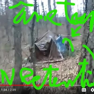 Owl camp fire 1 oame de taupe vue