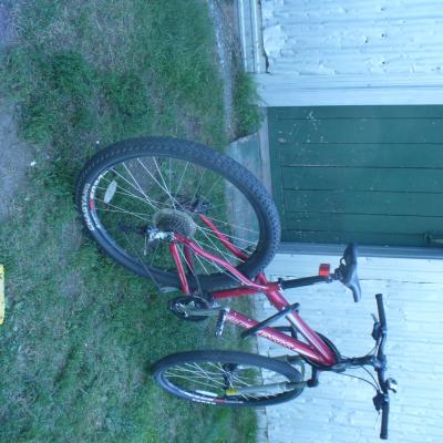 P p1020107cas de regie