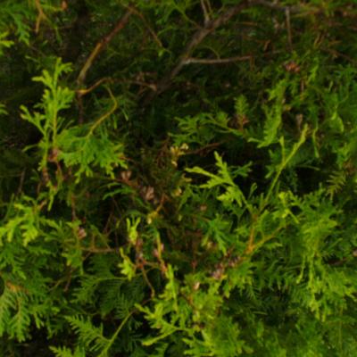 P1010330dojo yannick