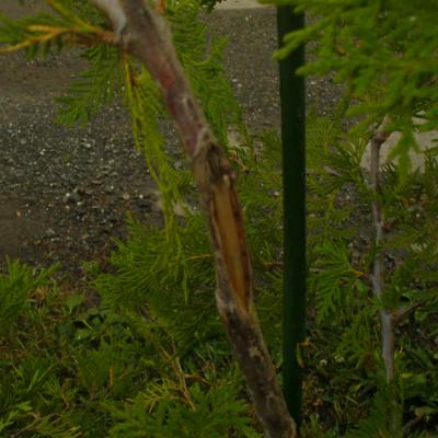 P1010331dojo yannick