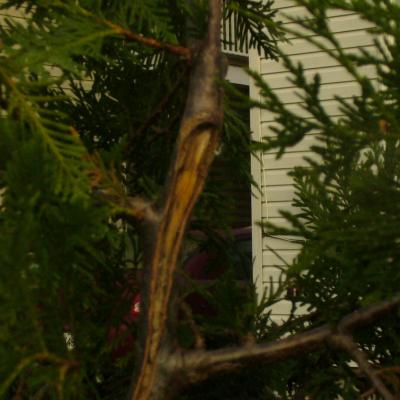 P1010333dojo yannick