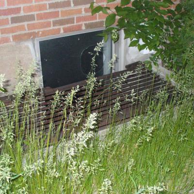 P1030265musee de la photographie