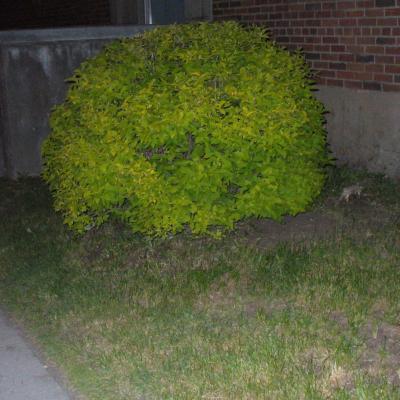 P1030266musee de la photographie