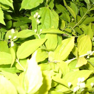 P1030269musee de la photographie