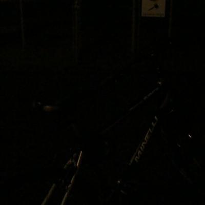 Parc ecole st louis de gonzague a