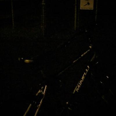 Parc ecole st louis de gonzague b