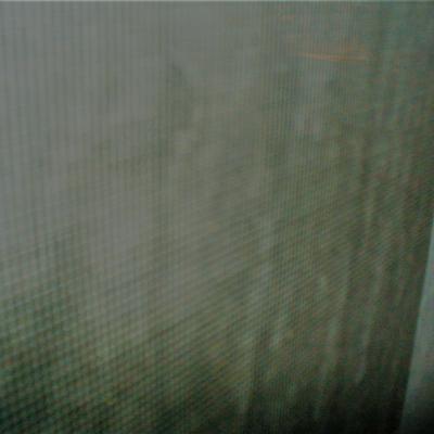 Scrim de ma fenetre aa