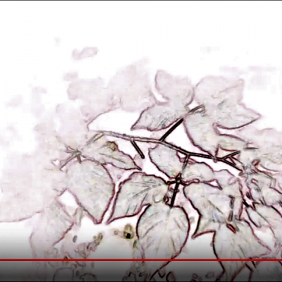 Smoloch prise 2b ancien demon youtube 10 