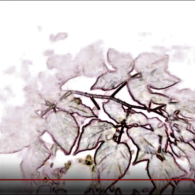 Smoloch prise 2c ancien demon youtube 9 