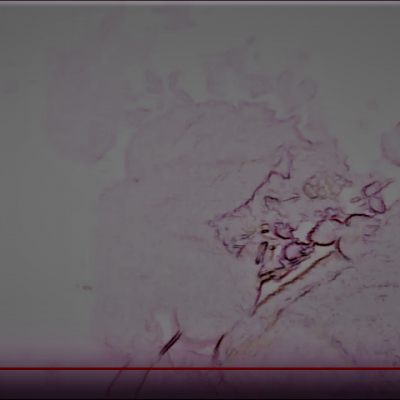 Smoloch prise 5b ancien demon youtube 17 