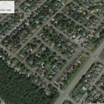 Sscri du wookie a rue collins