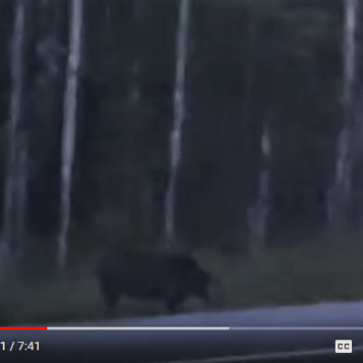 The rake skinwalker sighting 11 