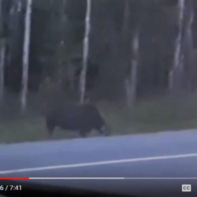 The rake skinwalker sighting 13 