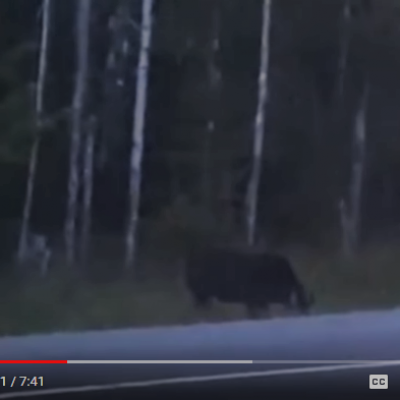 The rake skinwalker sighting 14 