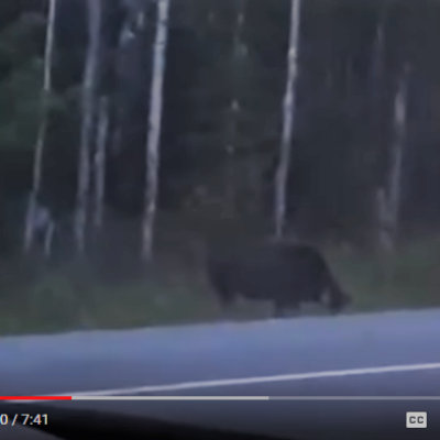 The rake skinwalker sighting 15 