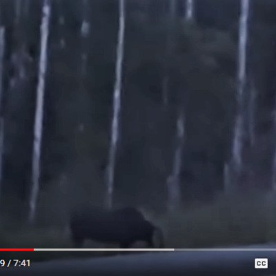 The rake skinwalker sighting 9 