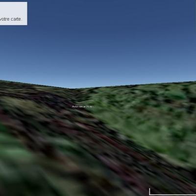 Trappe de loups sortie ouest