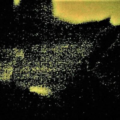 Ymission sacerdotale 4 0