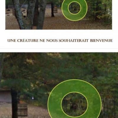 Z1 trouble a counak0