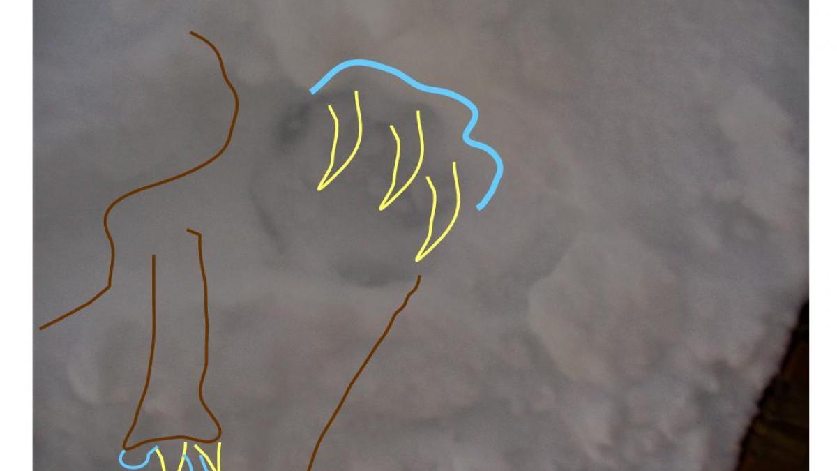 1 3 mission sacerdotale 1 3 a