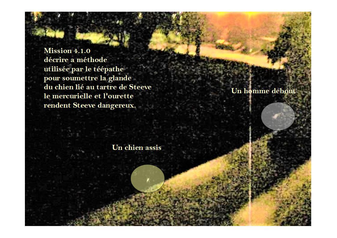 4 2 strategie organisationnelle 1 0 3 chien vorace