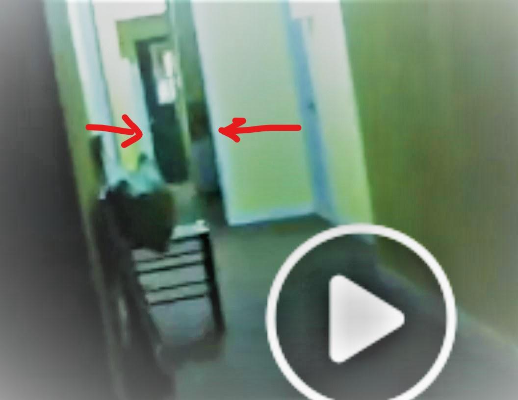 La sorciere dalton c