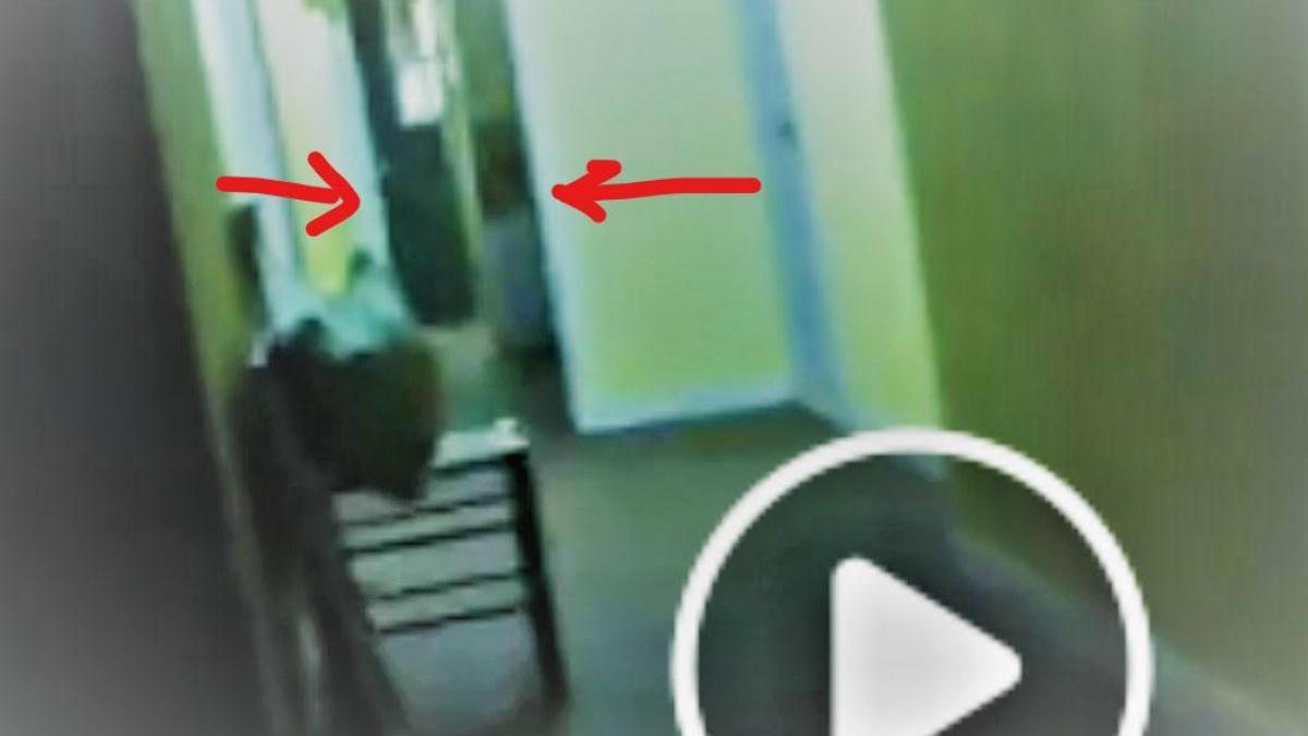 La sorciere dalton c