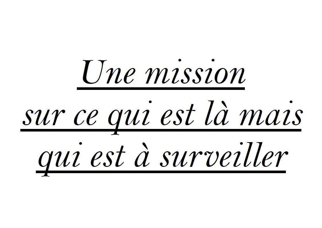 Mission sacerdotale 3