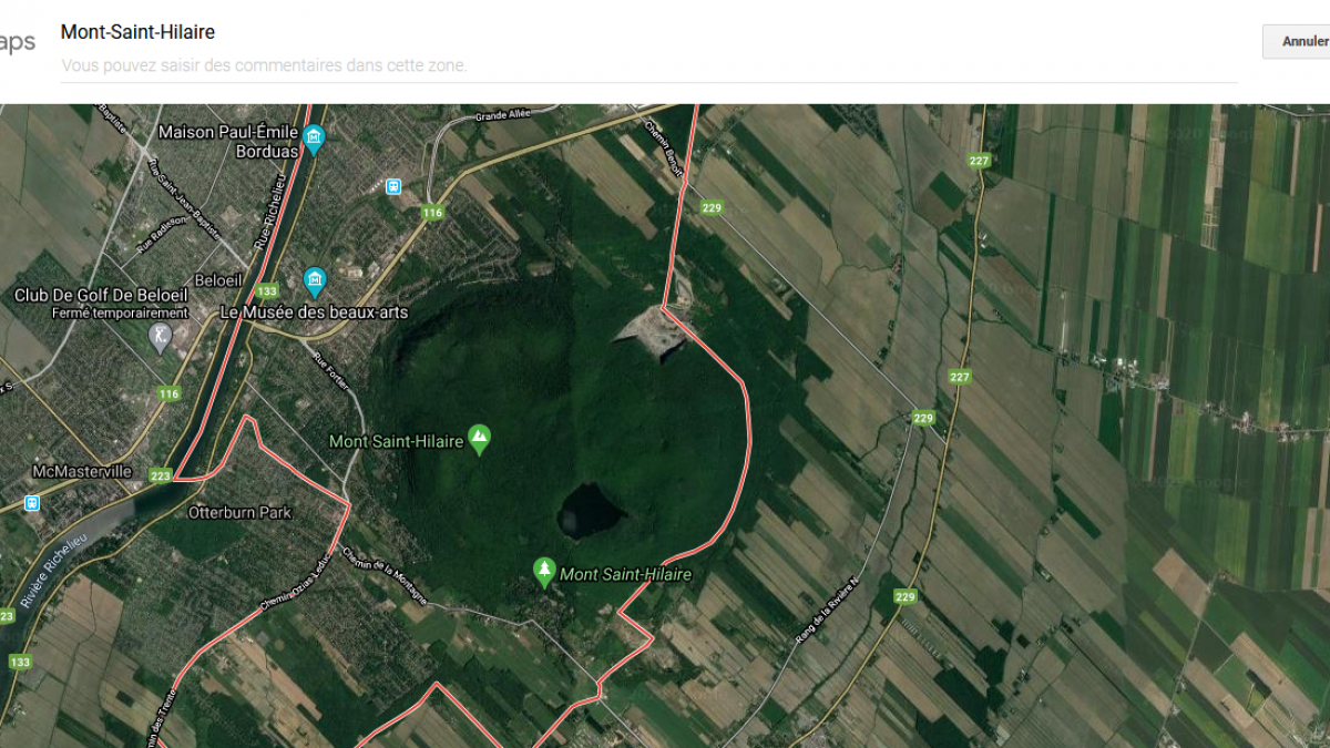 Screenshot 2020 05 01 google maps