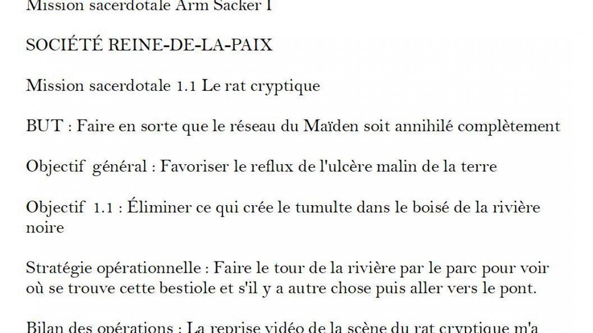 Strategie operationnelle 1 1