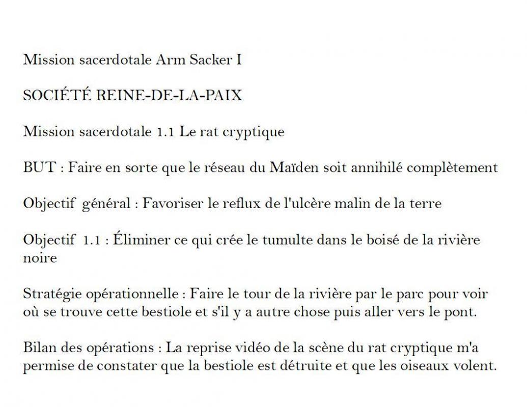 Strategie operationnelle 1 1