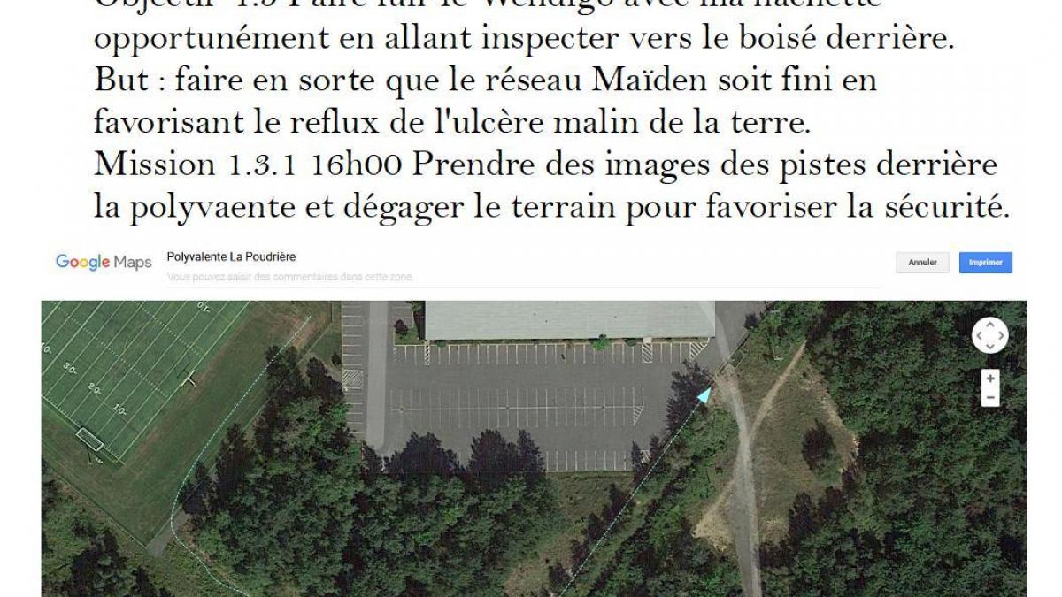 Strategie organisationnelle 1 3 1 a