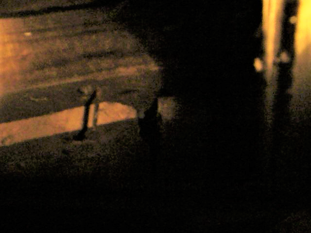 Vlcsnap 2018 07 15 11h36m04s459